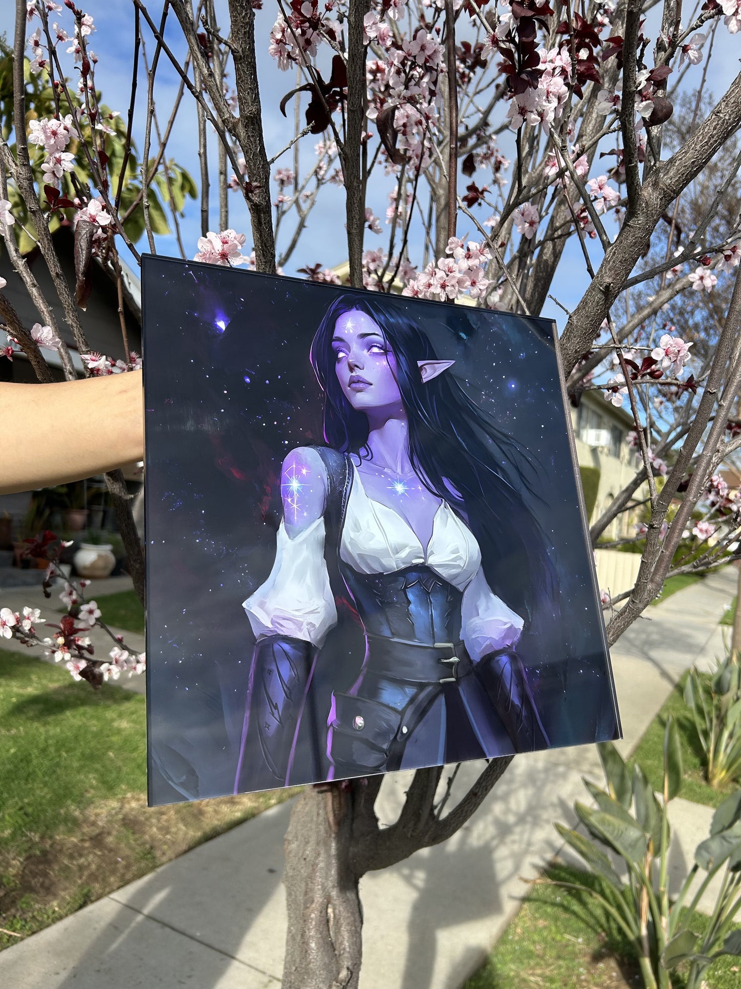 Premium Acrylic Print