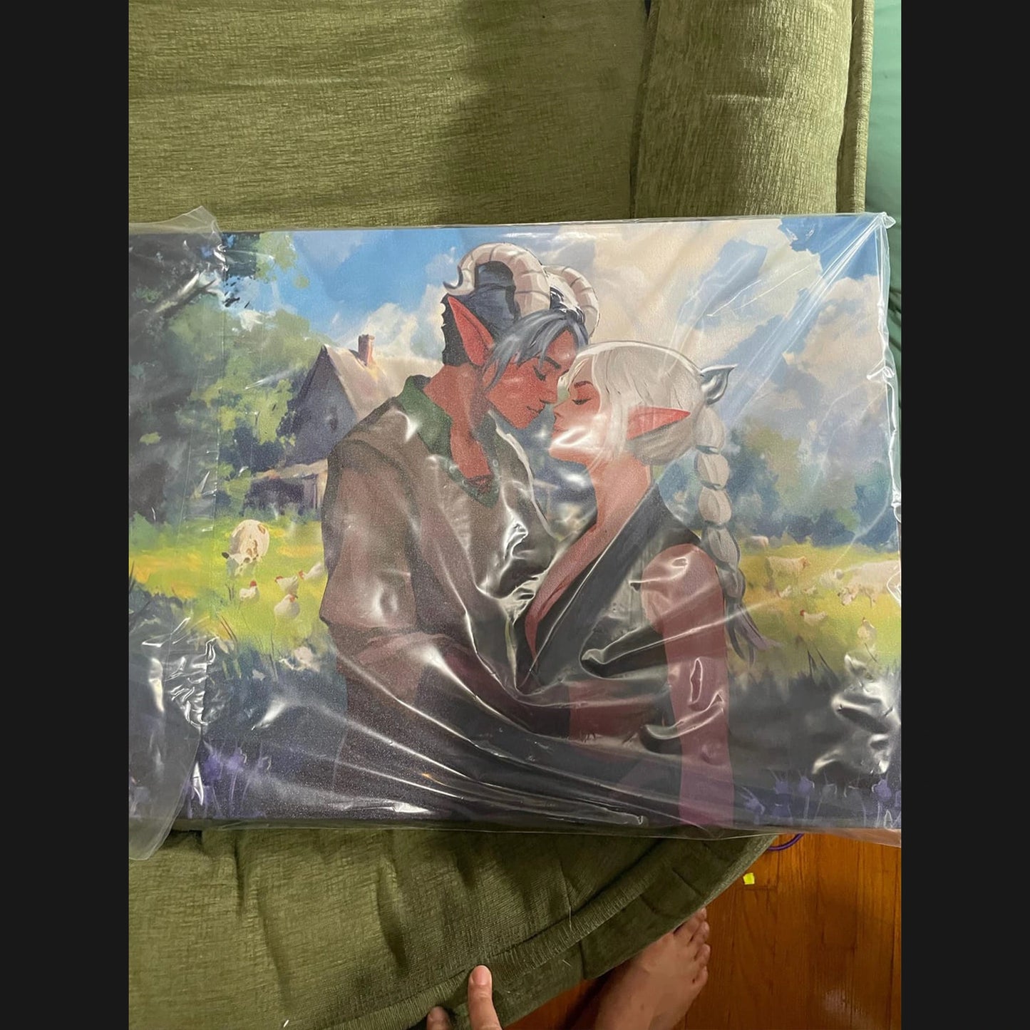 Cotton Canvas