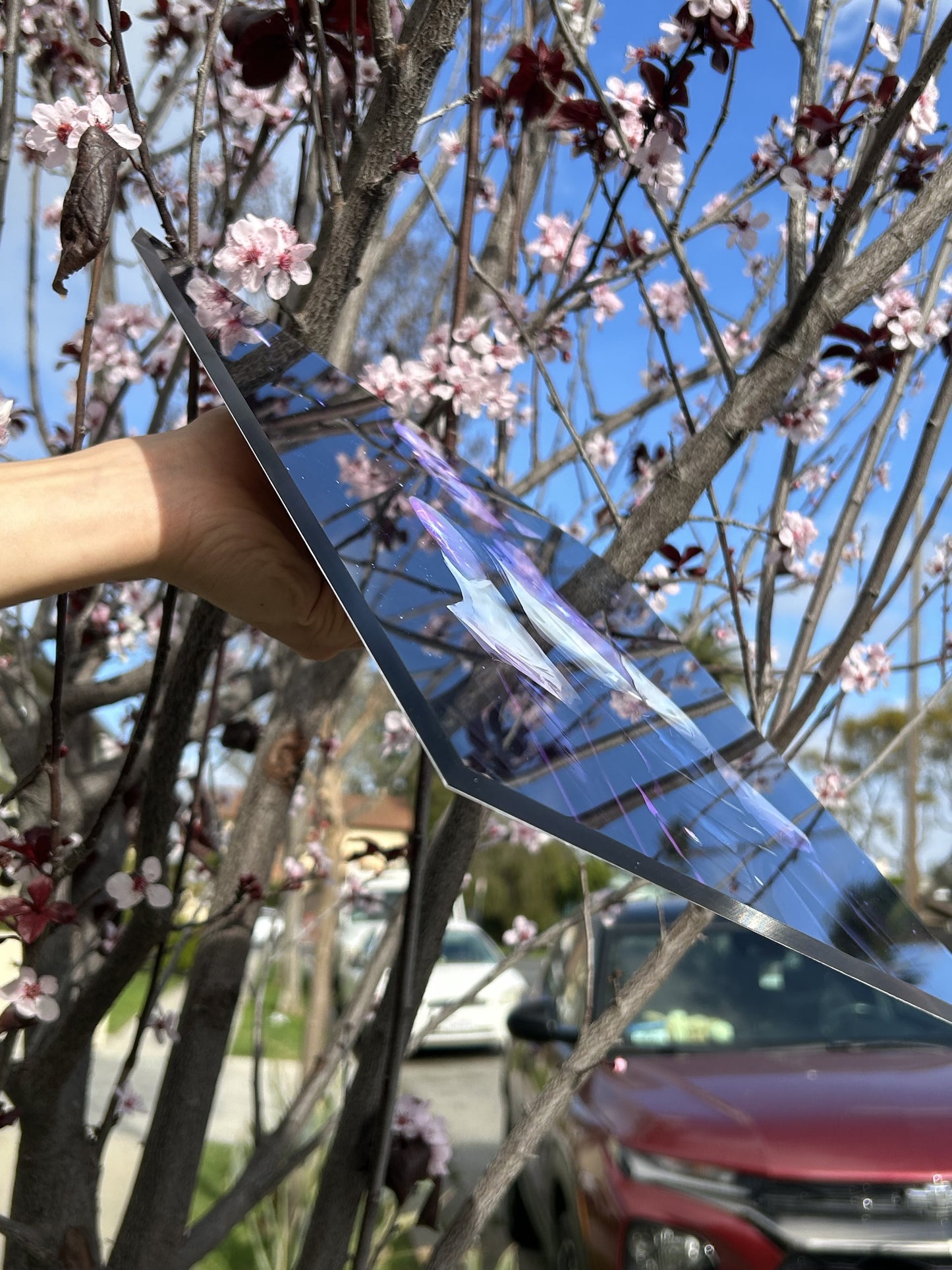 Premium Acrylic Print